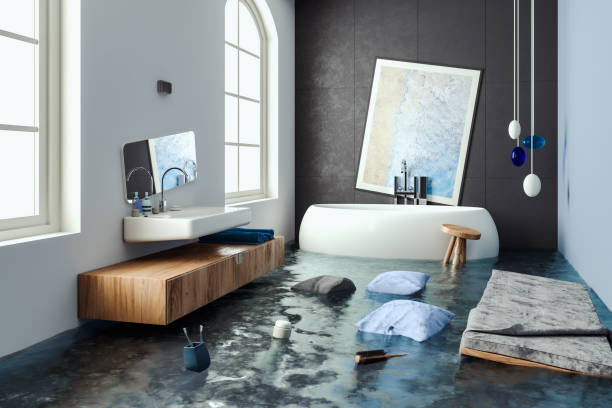 Best Local water damage restoration  in Renton, WA