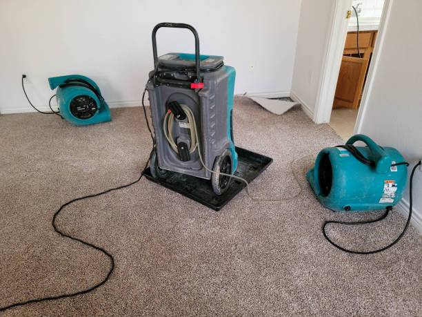 Best Water damage restoration near me  in Renton, WA