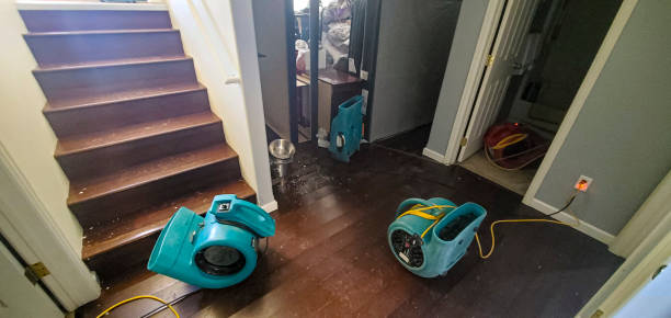 Best Residential water damage restoration  in Renton, WA