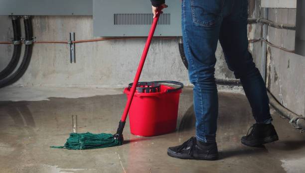 Best Flood damage cleanup  in Renton, WA