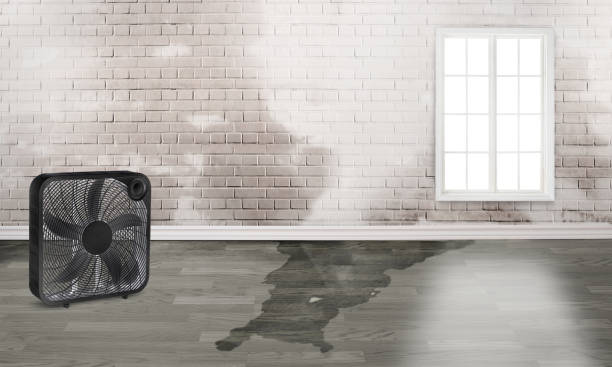 Best Commercial water damage restoration  in Renton, WA