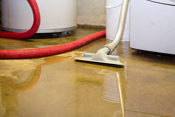 Best Flooded house restoration  in Renton, WA