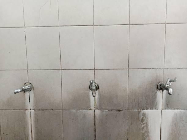  Renton, WA Water damage restoration Pros