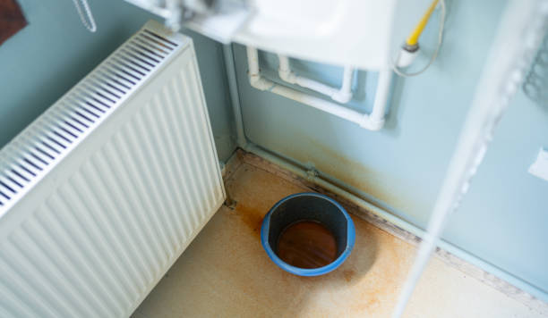 Best 24/7 water damage repair  in Renton, WA