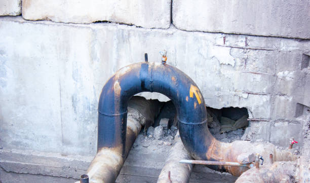 Best Flood damage cleanup  in Renton, WA