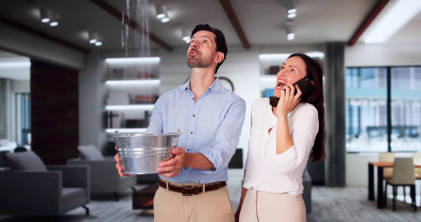 Best 24/7 water damage repair  in Renton, WA